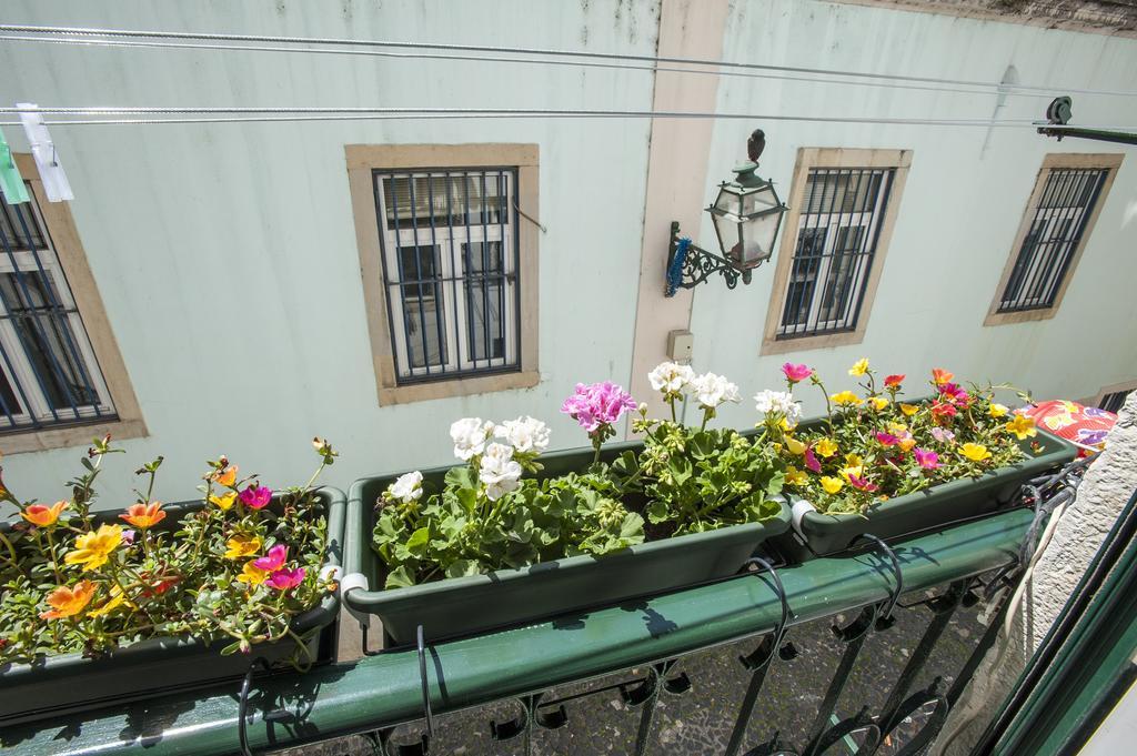 Stay Local In Alfama! Alice Central Home, Near River Lisboa Εξωτερικό φωτογραφία